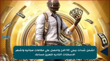اشحن شدات ببجي UC الآن واحصل على مكافآت مجانية وأشهر الأسكنات النادرة لتعزيز حسابك